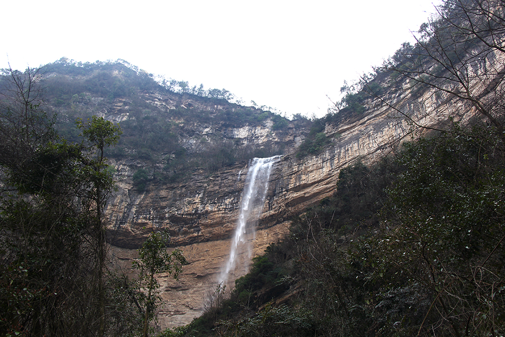 三峡竹海